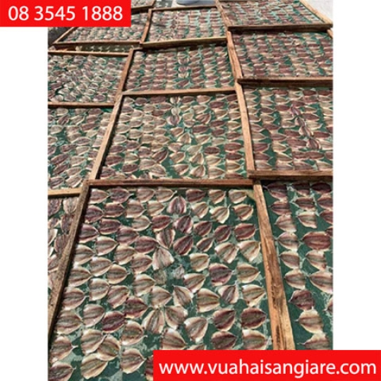 Cá Ngân Chỉ Khô